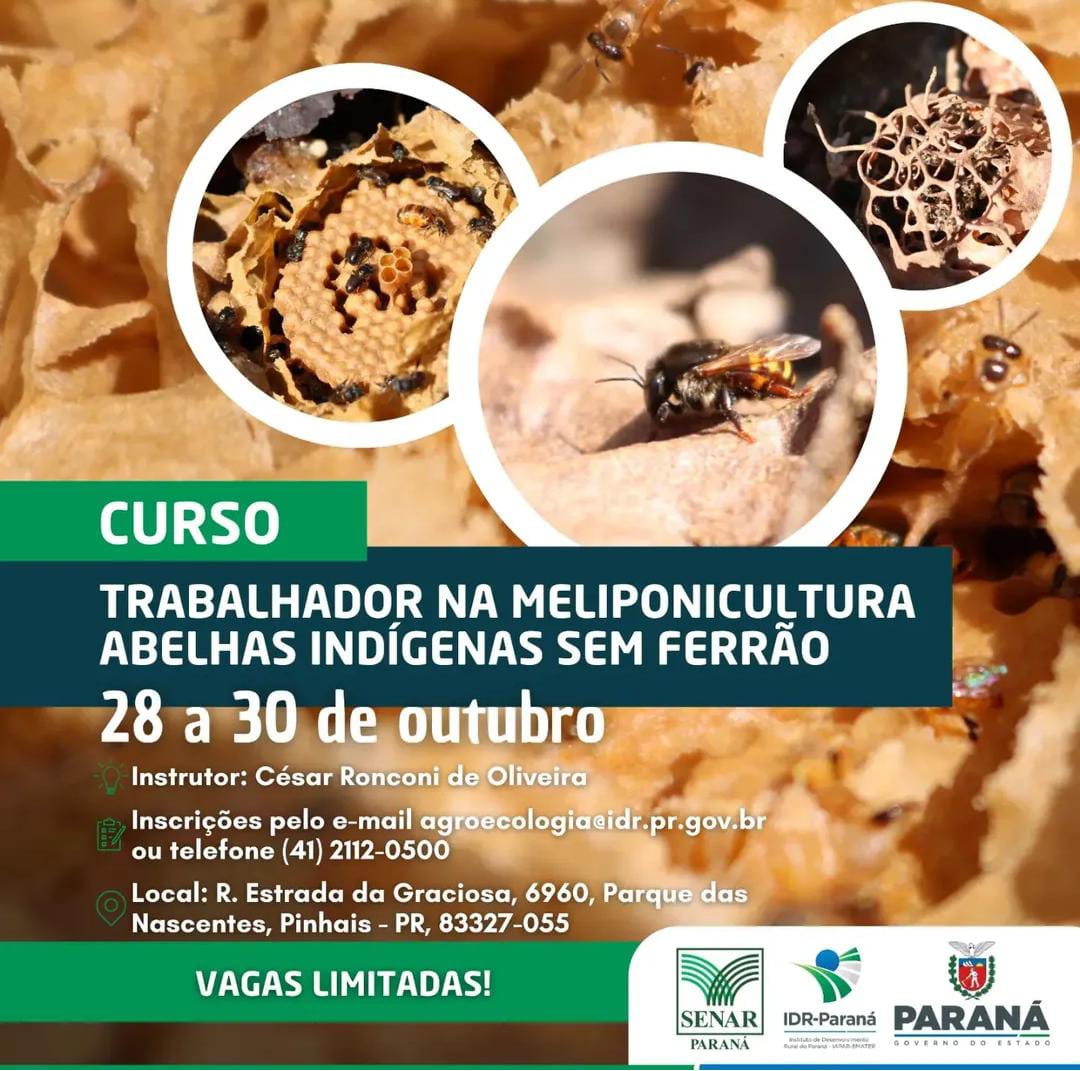 Curso-Trabalhador na Meliponicultura abelhas indígenas sem frrão