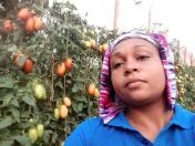 Série Mulheres Rurais: Mãe e agricultora que preza pela alimentação saudável e não tem medo de desafios 