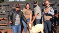 IDR-Paraná repassa caprinos a produtores familiares