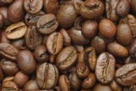 IDR-Paraná contribui para avanço do conhecimento sobre a genética do café arábica