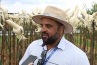 Resistentes e rentáveis: Estado lança cultivares de milho e mandioca no Show Rural