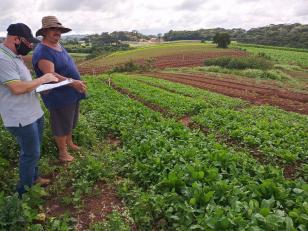 Ações integradas entre IDR-Paraná e Ceasa promovem qualificação na agricultura familiar