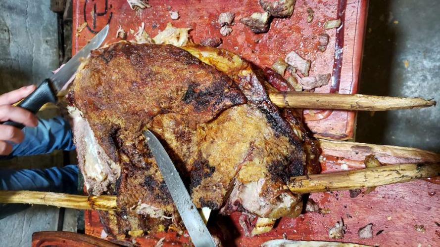 Em comemoração aos cinco anos do Purunã, IDR-Paraná lança projeto para disseminar a raça pelo estado