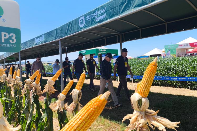 Agroshow Copagril abre a temporada de eventos agropecuários no Paraná