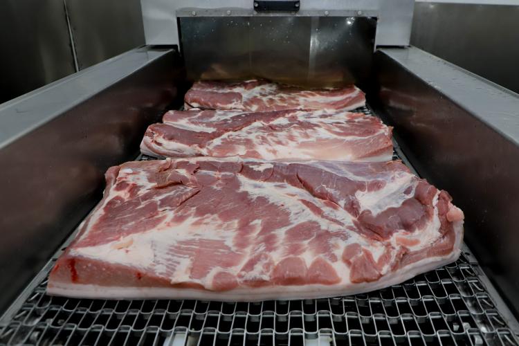 Diplomacia e status sanitário estimulam as exportações de suínos do Paraná