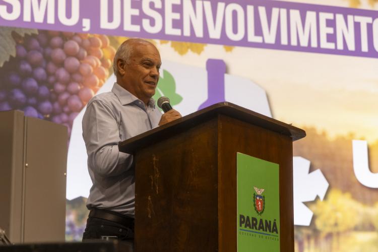 Rota da Uva & Vinho: Paraná lança circuito para impulsionar vitivinucultura e valorizar tradições