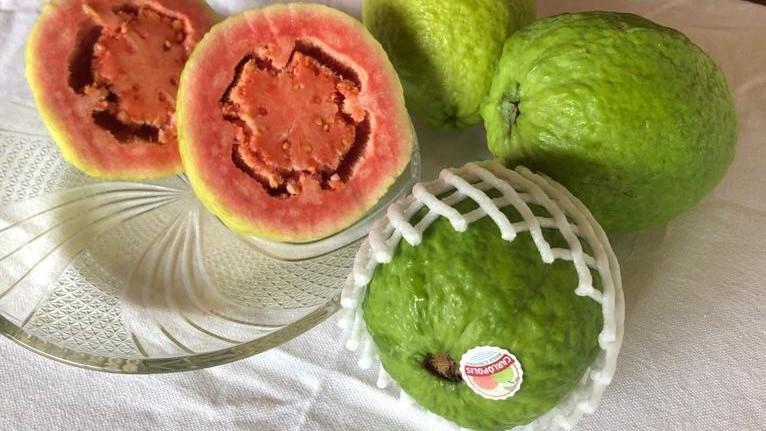 Frutas Pagantes – Site Oficial