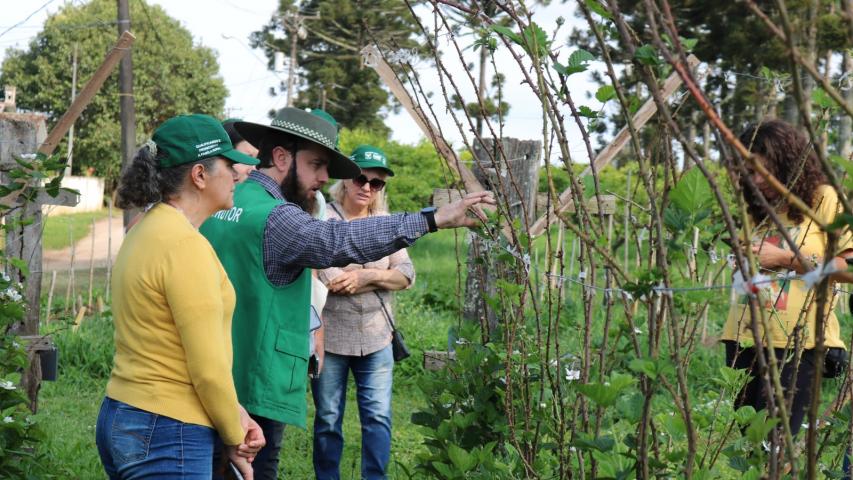 Curso ensina manejo de fruticultura de clima temperado